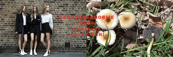 таблы Беломорск