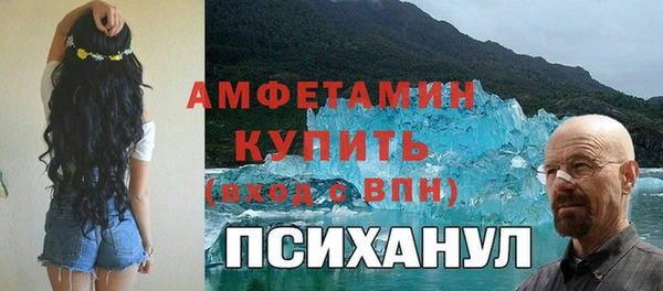 гидра Богданович