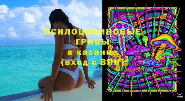 ГАЛЛЮЦИНОГЕННЫЕ ГРИБЫ Белая Калитва
