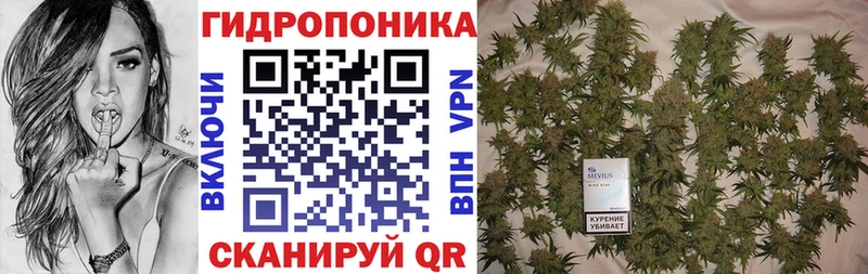 Бошки Шишки планчик  Дальнегорск 